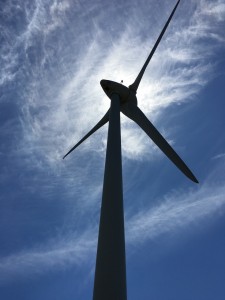 wind array at top of Monchique