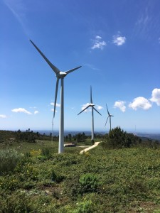 wind array at top of Monchique
